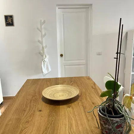 Lanza Palm * Пуерто-дель-Кармен